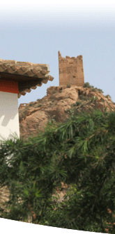 detalle de Alhama de Murcia