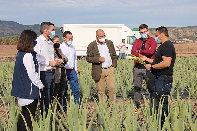 Visita a Lexportia Bio, una finca ecológica dedicada a la producción de aloe vera en Alhama de Murcia