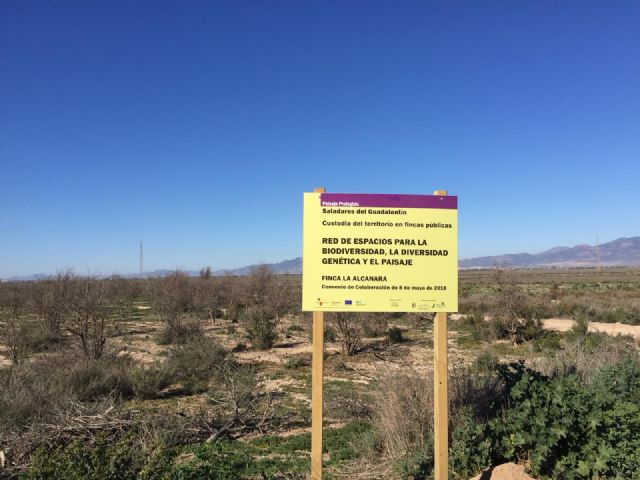 Nuevas señales en La Alcanara para resaltar su valor medioambiental y las acciones de recuperación