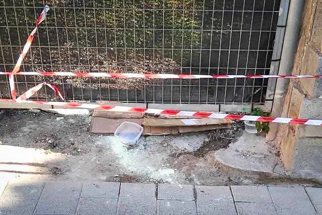 Alhama de Murcia refuerza la protección de sus colonias felinas tras intento de envenenamiento