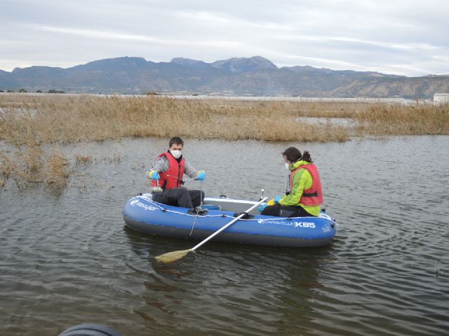 Muestreos en las aguas de las lagunas de las salinas