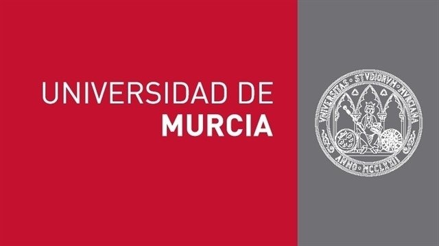 'Promoviendo el ocio inclusivo en la infancia y adolescencia a través del juego y el deporte'