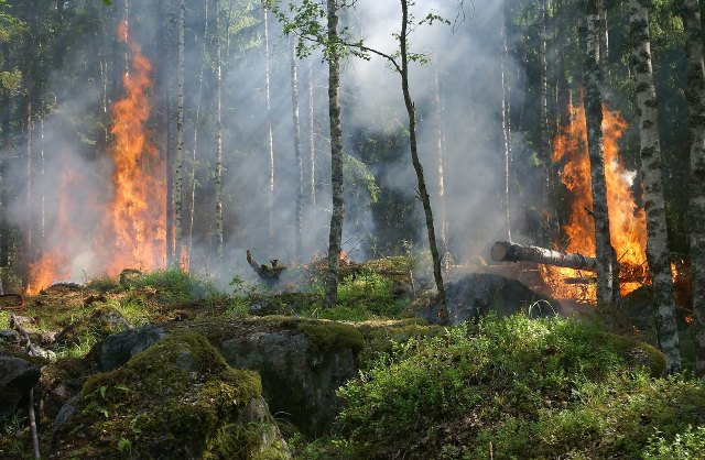 Un vecino de Alhama de Murcia lanza un crowdfunding para su proyecto Adventure de Sierra Espuña que sufrió un incendio