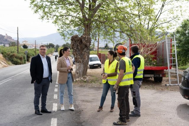 Comienza la poda de las moreras en la carretera RM-515