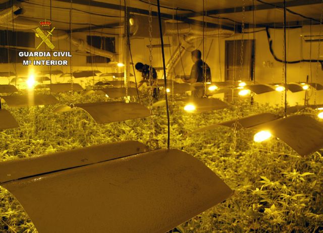 La Guardia Civil desmantela una plantación indoor con medio millar de plantas de marihuana