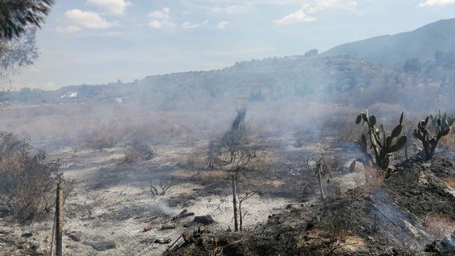 Incendio en terreno agrícola abandonado en El Cañarico
