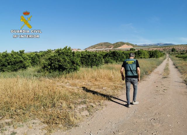 La Guardia Civil desmantela un grupo delictivo dedicado a la sustracción de cítricos en Alhama de Murcia