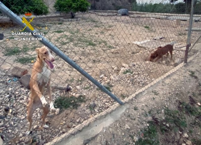 La Guardia Civil investiga a un vecino de Alhama de Murcia por maltratar de forma continuada a sus perros